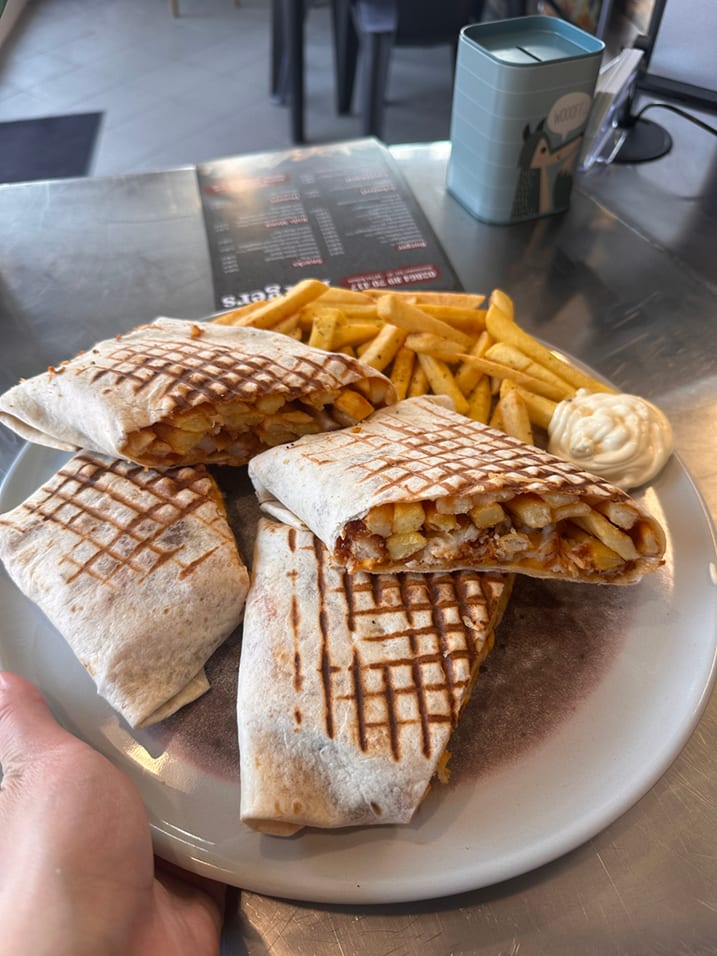 Gegrillte Wraps mit Pommes und Knoblauchsauce auf einem Teller